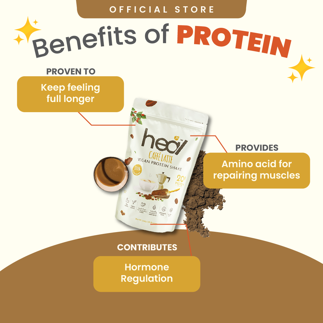 Heal Caffe Latte Vegan Protein Shake, (540g - 15 Servings) Value Pack