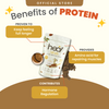 Heal Caffe Latte Vegan Protein Shake, (540g - 15 Servings) Value Pack