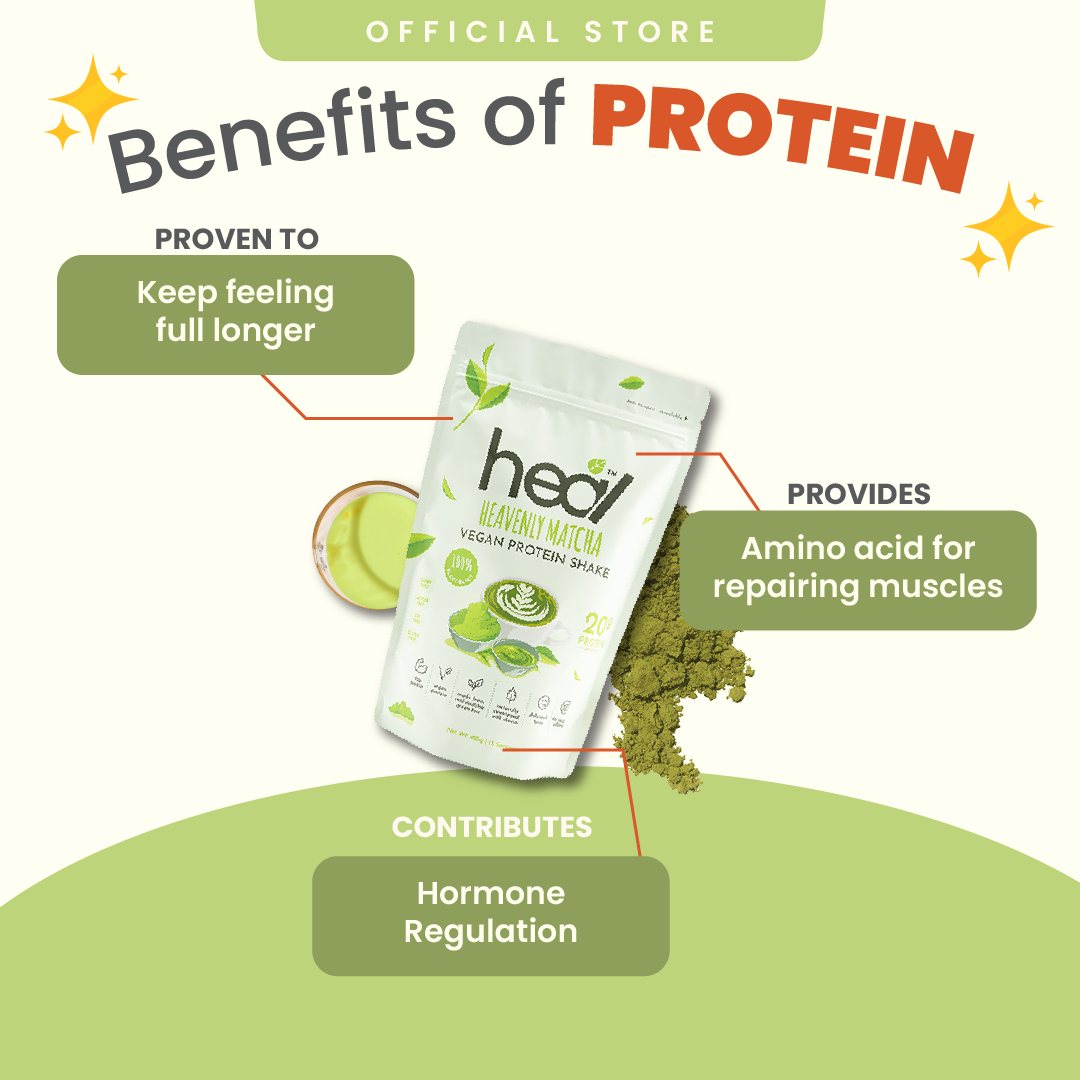Heal Heavenly Matcha Vegan Protein Shake, (495g - 15 Servings) Value Pack
