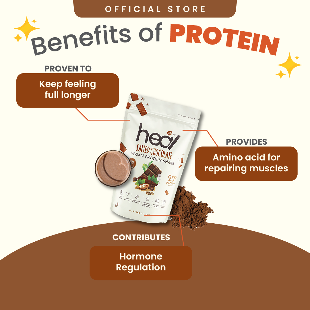 Heal Salted Chocolate Vegan Protein Shake, (540g - 15 Servings) Value Pack
