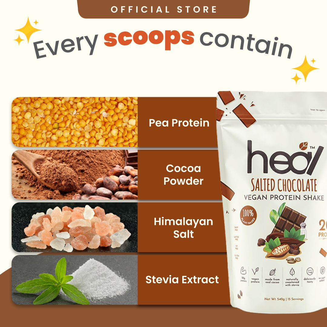 Heal Salted Chocolate Vegan Protein Shake, (540g - 15 Servings) Value Pack